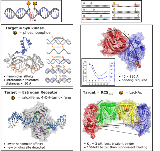 /sfb765/_media/furtherB/b1/bild_b1detail/b1detail.png